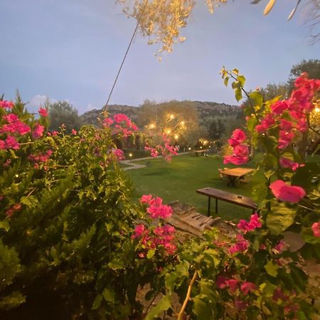 Suzi'Nin Bahcesi Bungalov Evler Datça Esterno foto