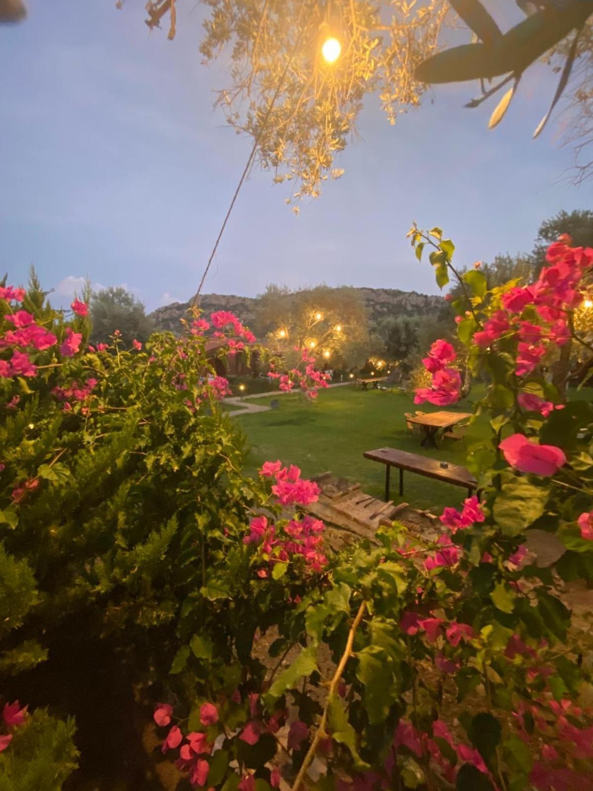 Suzi'Nin Bahcesi Bungalov Evler Datça Esterno foto