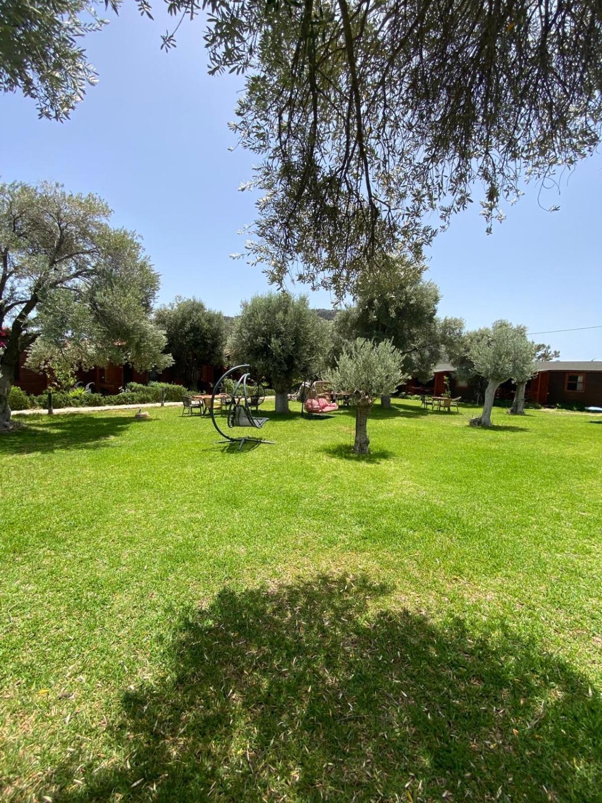 Suzi'Nin Bahcesi Bungalov Evler Datça Esterno foto