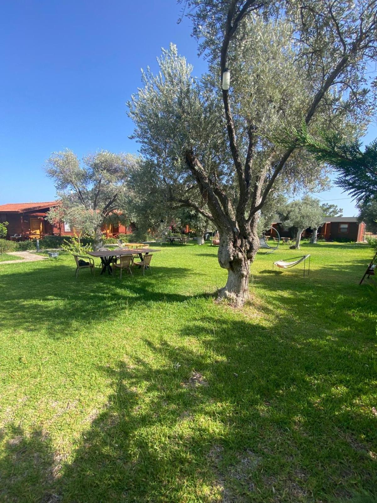 Suzi'Nin Bahcesi Bungalov Evler Datça Esterno foto
