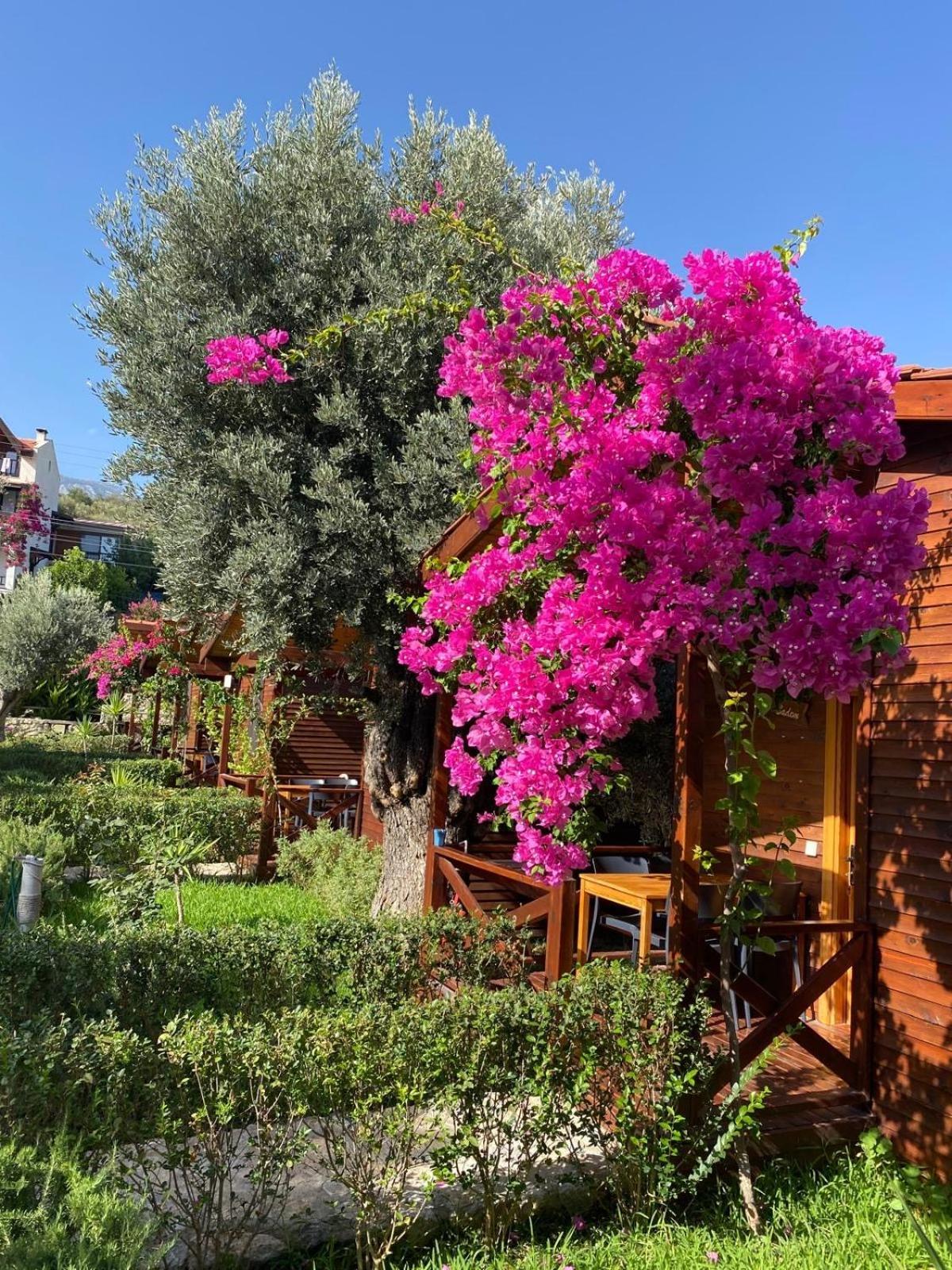 Suzi'Nin Bahcesi Bungalov Evler Datça Esterno foto